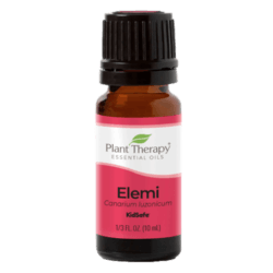 Elemi Essential Oil by Plant Therapy - 10ml