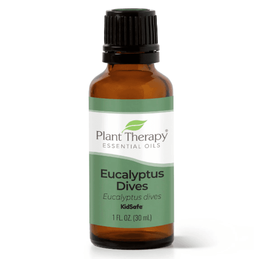 Eucalyptus Dives Essential Oil by Plant Therapy - 30ml - Image 5