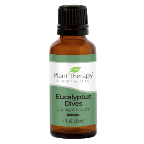 Eucalyptus Dives Essential Oil by Plant Therapy - 30ml