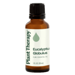Eucalyptus Globulus Essential Oil by Plant Therapy - 30ml