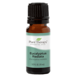 Eucalyptus Radiata Essential Oil by Plant Therapy - 10ml