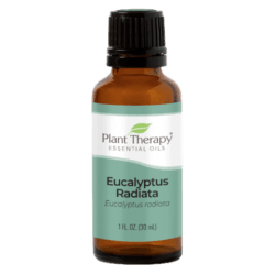 Eucalyptus Radiata Essential Oil by Plant Therapy - 30ml