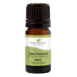 Fennel Sea Essential Oil by Plant Therapy - 5ml