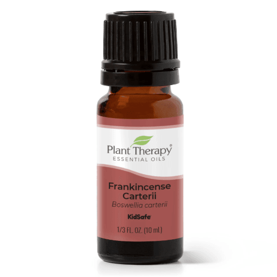 Frankincense Carterii Essential Oil by Plant Therapy - 10ml - Image 2