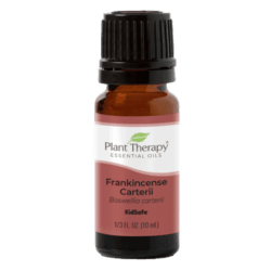 Frankincense Carterii Essential Oil by Plant Therapy - 10ml