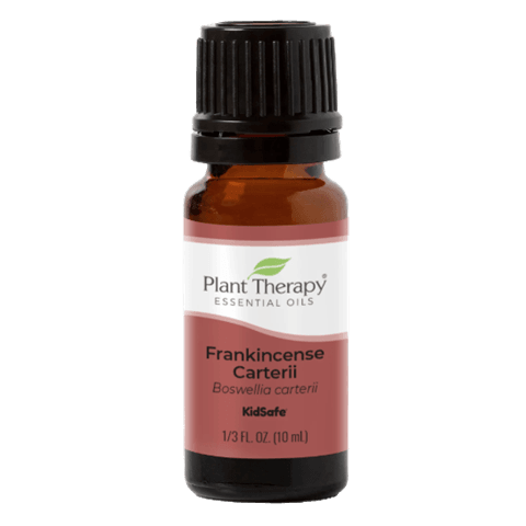 Frankincense Carterii Essential Oil by Plant Therapy - 10ml