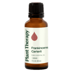 Frankincense Carterii Essential Oil by Plant Therapy - 30ml