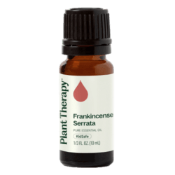 Frankincense Serrata Essential Oil by Plant Therapy - 10ml