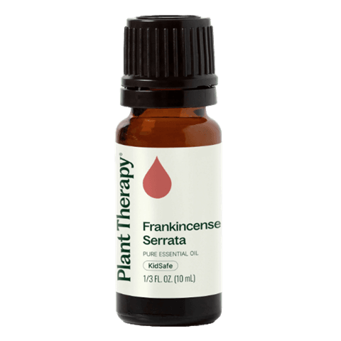 Frankincense Serrata Essential Oil by Plant Therapy - 10ml