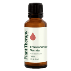Frankincense Serrata Essential Oil by Plant Therapy - 30ml