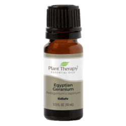 Geranium Egyptian Essential Oil by Plant Therapy - 10ml