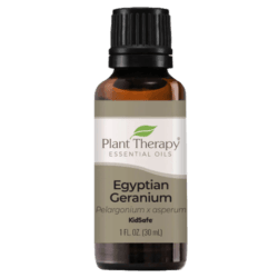 Geranium Egyptian Essential Oil by Plant Therapy - 30ml