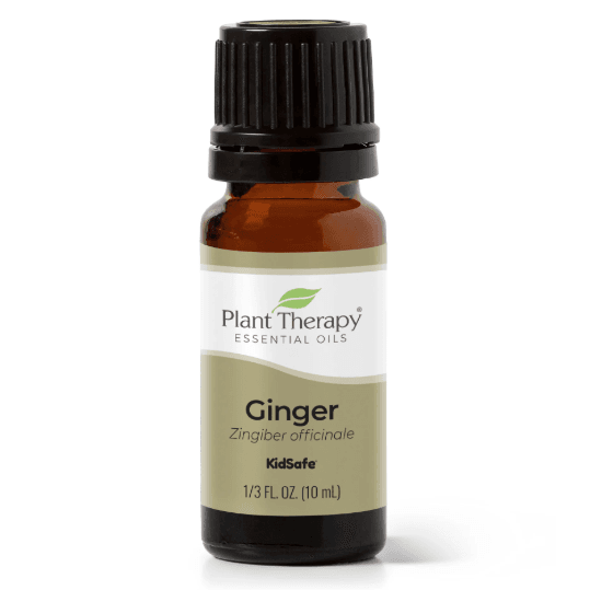 Ginger Essential Oil by Plant Therapy - 10ml - Image 2