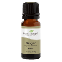 Ginger Essential Oil by Plant Therapy - 10ml