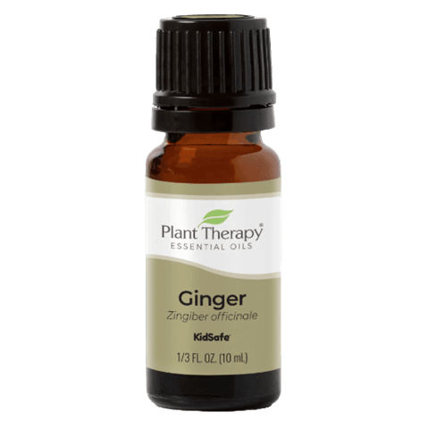Ginger Essential Oil by Plant Therapy - 10ml