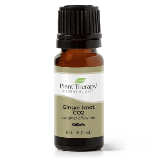 Ginger Root CO2 Essential Oil by Plant Therapy - 10ml - Image 2