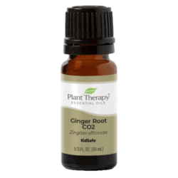 Ginger Root CO2 Essential Oil by Plant Therapy - 10ml