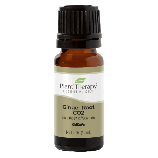 Ginger Root CO2 Essential Oil by Plant Therapy - 10ml