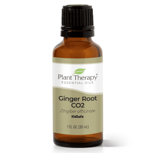 Ginger Root CO2 Essential Oil by Plant Therapy - 30ml - Image 2