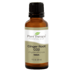 Ginger Root CO2 Essential Oil by Plant Therapy - 30ml