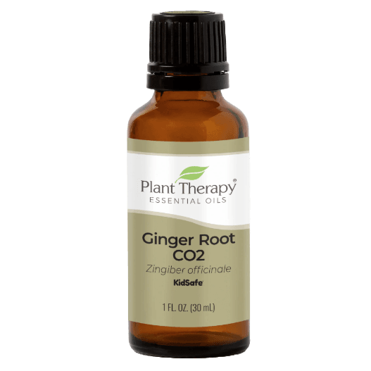 Ginger Root CO2 Essential Oil by Plant Therapy - 30ml