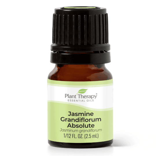 Jasmine Absolute Essential Oil by Plant Therapy - 2.5ml - Image 2