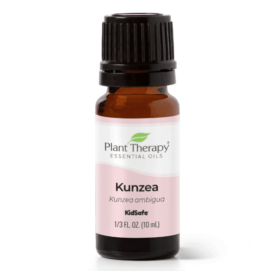 Kunzea Essential Oil by Plant Therapy - 10ml - Image 2