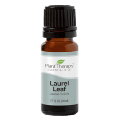 Laurel Leaf Essential Oil by Plant Therapy - 10ml