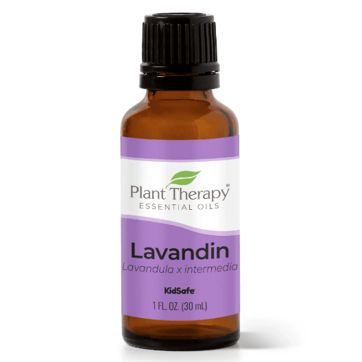 Lavandin Essential Oil by Plant Therapy - 30ml - Image 2