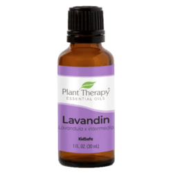 Lavandin Essential Oil by Plant Therapy - 30ml