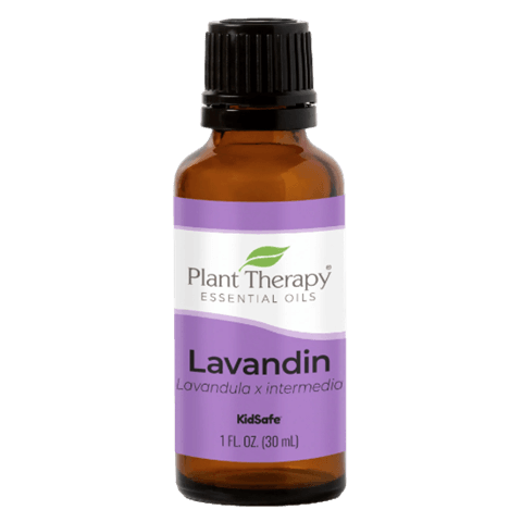 Lavandin Essential Oil by Plant Therapy - 30ml
