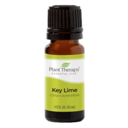 Lime Key Essential Oil by Plant Therapy - 10ml