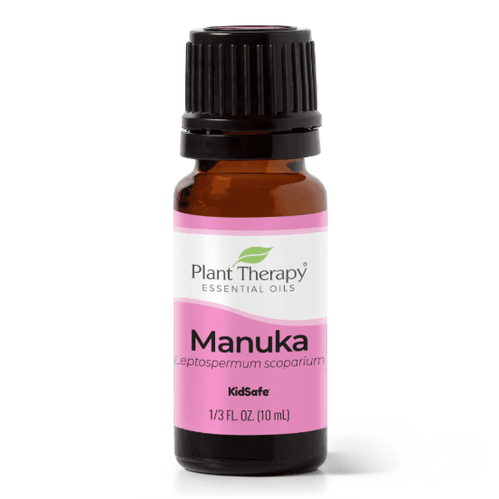Manuka Essential Oil by Plant Therapy - 10ml - Image 2