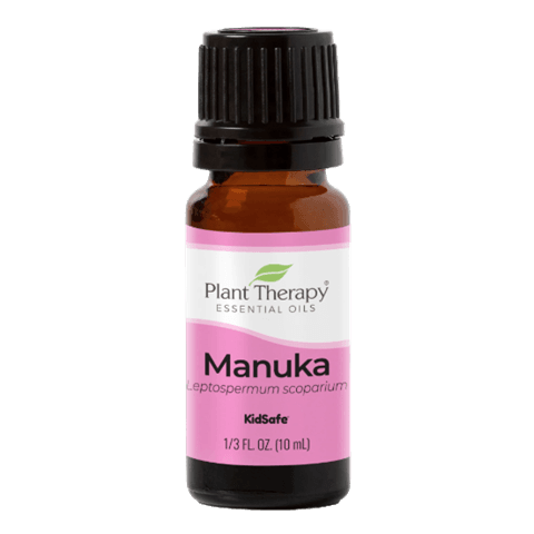 Manuka Essential Oil by Plant Therapy - 10ml