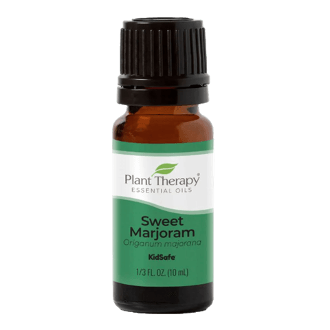 Marjoram Sweet Essential Oil by Plant Therapy - 10ml