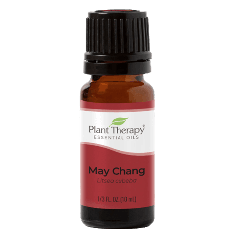 May Chang Essential Oil by Plant Therapy - 10ml
