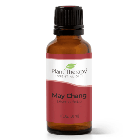 May Chang Essential Oil by Plant Therapy - 30ml - Image 2