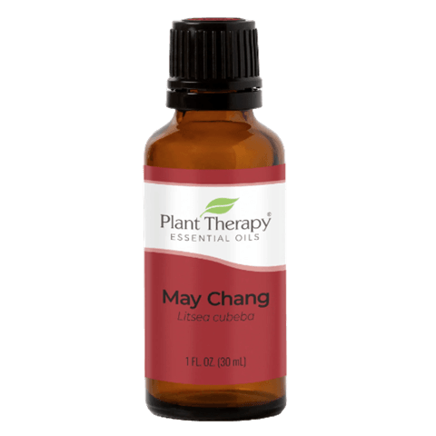 May Chang Essential Oil by Plant Therapy - 30ml