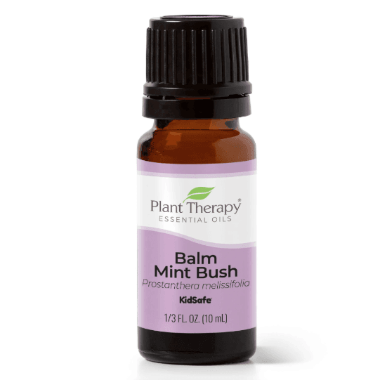Mint Bush Balm Essential Oil by Plant Therapy - 10ml - Image 2