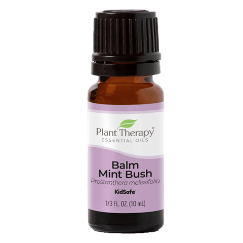 Mint Bush Balm Essential Oil by Plant Therapy - 10ml