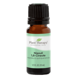 Niaouli 1,8-Cineole Essential Oil by Plant Therapy - 10ml