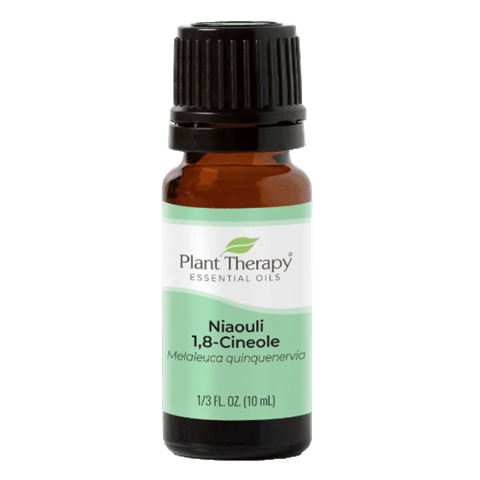 Niaouli 1,8-Cineole Essential Oil by Plant Therapy - 10ml