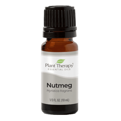 Nutmeg Essential Oil by Plant Therapy - 10ml