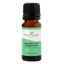 Peppermint Western Essential Oil by Plant Therapy - 10ml