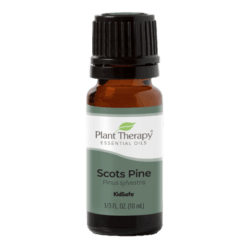 Pine Scots Essential Oil by Plant Therapy - 10ml