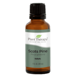 Pine Scots Essential Oil by Plant Therapy - 30ml
