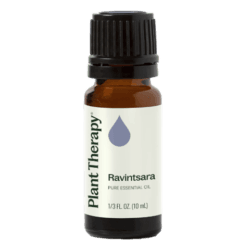 Ravintsara Essential Oil by Plant Therapy - 10ml