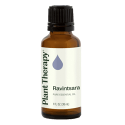 Ravintsara Essential Oil by Plant Therapy - 30ml