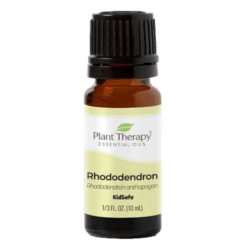 Rhododendron Essential Oil by Plant Therapy - 10ml
