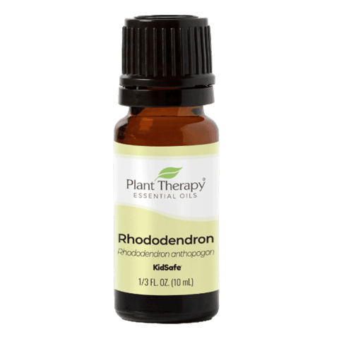 Rhododendron Essential Oil by Plant Therapy - 10ml
